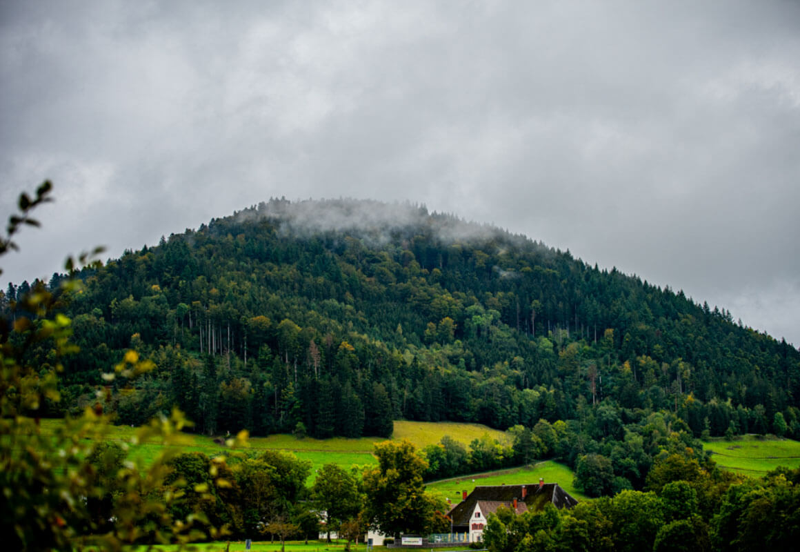 Natur-03